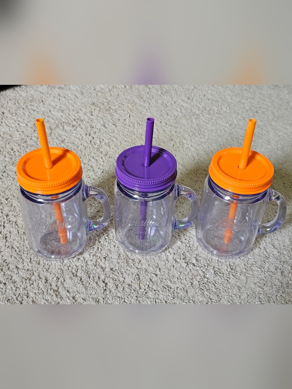 Set of 3 Aladdin Mason Jar Plastic Double Wall Insulated Drinking Tumblers